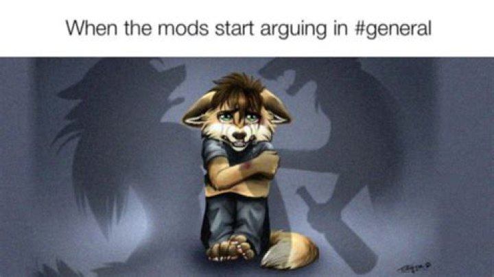 Furry Child Crying While Parents Fight: Understanding the Emotional Impact