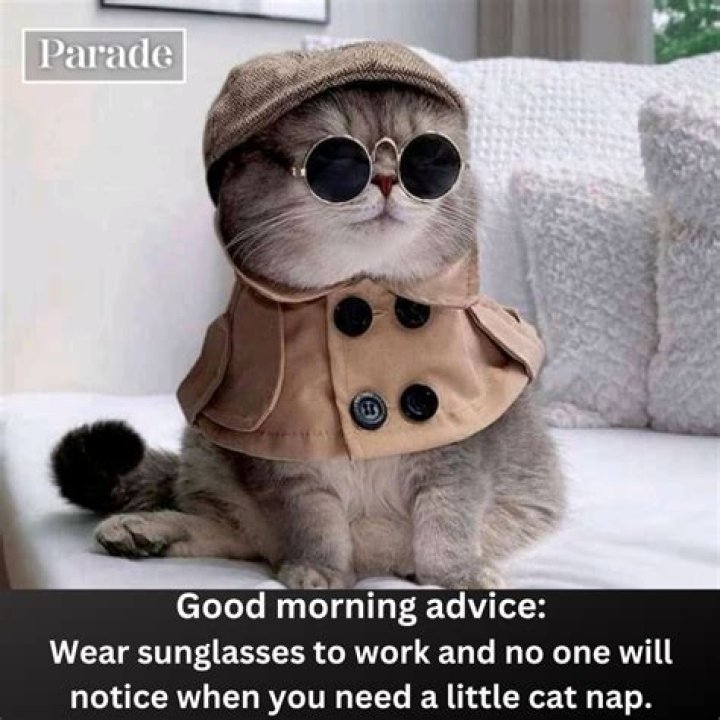 Good Morning Memes for Him: Hilarious & Cute!