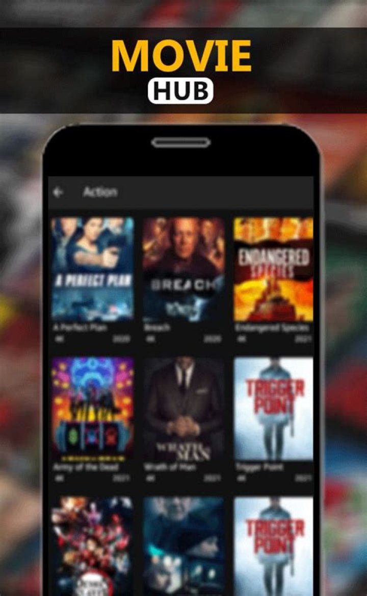 HD MoviesHub: Your Ultimate Destination for Cinematic Bliss