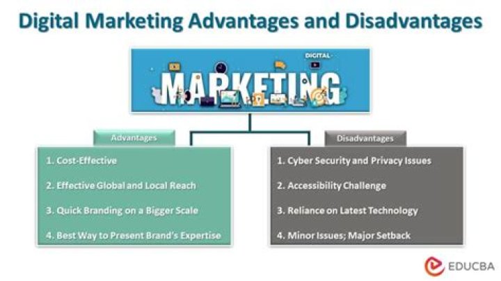 Hero Srinivas: The Journey of a Digital Marketing Expert