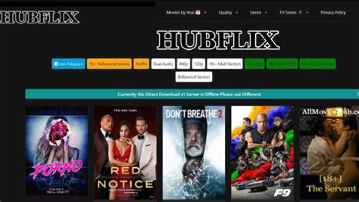 HubFlix HDMoviesHub: Your Ultimate Streaming Destination