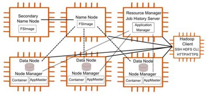 Insights into Carla Facciolo's Net Worth: An In-Depth Analysis