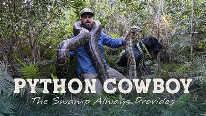 Insights on Python Cowboy Net Worth: The Financial Journey