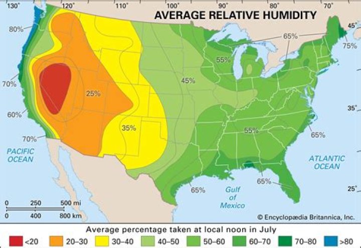 Is Dallas Dry or Humid? Understanding the Climate of Dallas, Texas