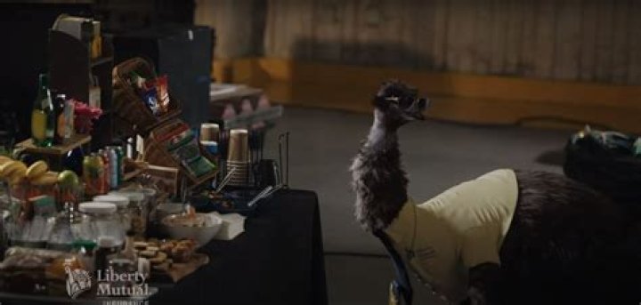 Is the Limu Emu Real? Unveiling the Truth Behind the Viral Sensation