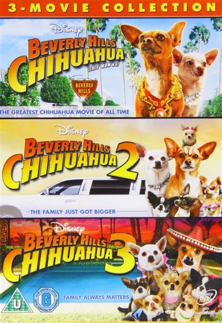 Is There Going to Be a Beverly Hills Chihuahua 4? Everything You Need to Know