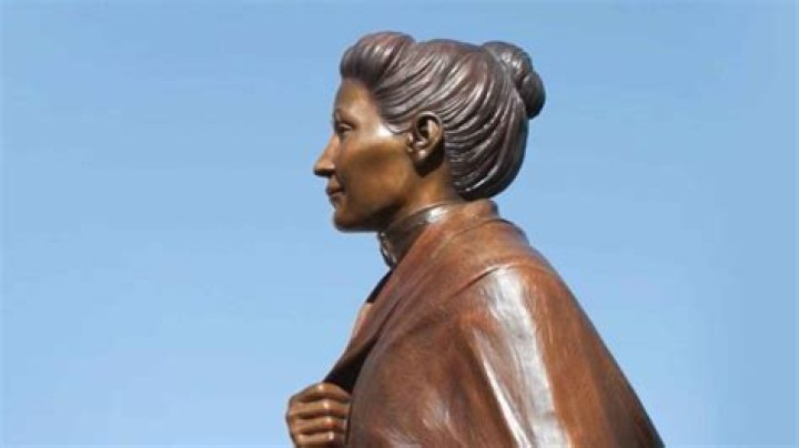 Janice Brown Kareem: The Life and Legacy of a Remarkable Figure