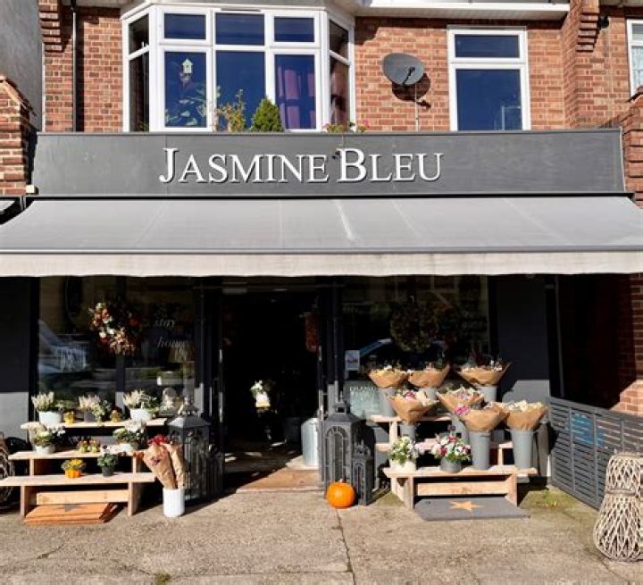 Jasmine Bleu Net Worth: 2023 Update & Details