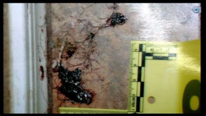 Jodi Arias and Travis Alexander: A Deep Dive into the Crime Photos and Case