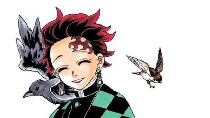 Koyoharu Gotouge: The Remarkable Journey of a Talented Illustrator