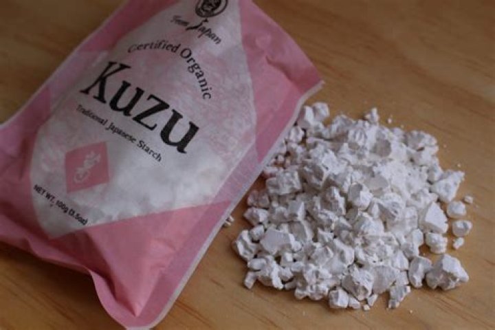 Kuzu_v0: The Revolutionary AI Framework Unveiled