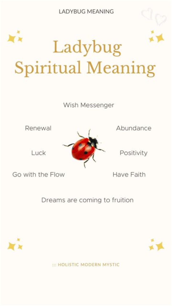 Ladybug Spiritual Meaning: Unveiling the Symbolism and Messages of These Enchanting Creatures