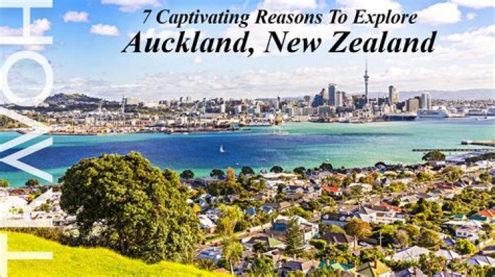 Matthew Timothy Williams: A Deep Dive into His Life in Auckland, New Zealand