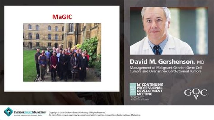 Michael David Gershenson: A Comprehensive Biography and Insights