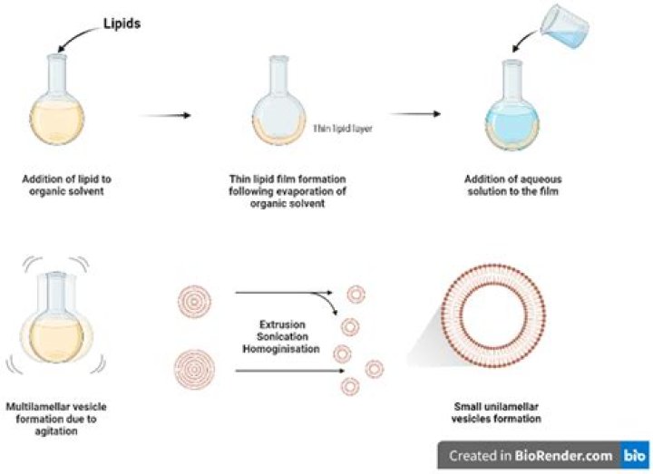 MMDosenude: Exploring the Phenomenon and Its Implications