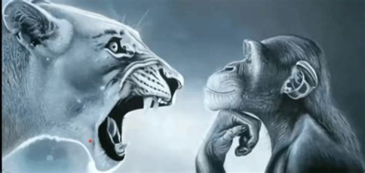 Monkey and Tiger Yelling: Understanding the Fascinating Behavior and its Implications