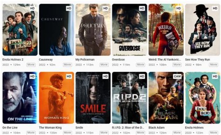 MovieRulz Fighter: The Ultimate Guide to Streaming and Downloading Movies