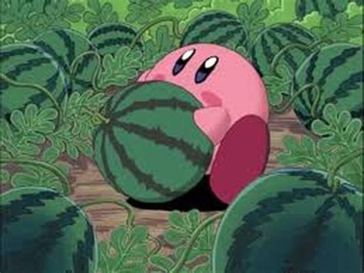 Nobara Eating Watermelon: A Delightful Japanese Treat