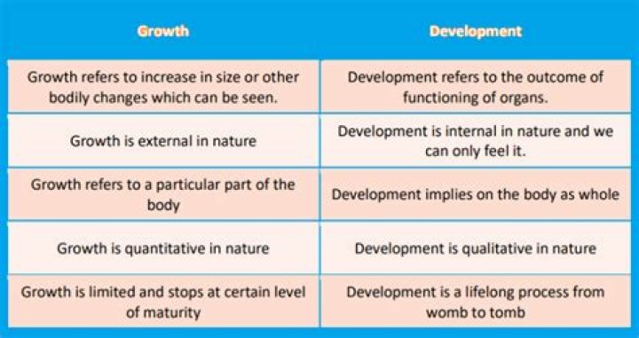 North West Height 2025: A Comprehensive Overview of Growth and Development