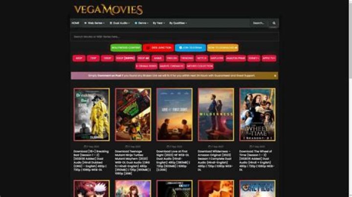 Oops! Navigating Streaming After Vegamovies Shutdown & Alternatives | Guide