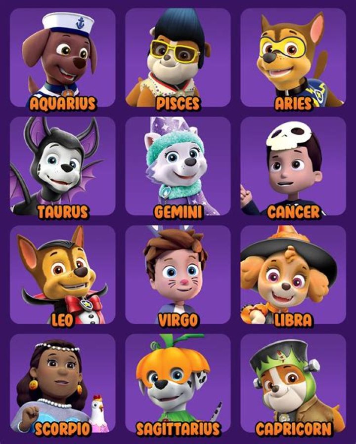 Paw Patrol Dog Names: A Guide to Choosing the Best Names for Your Favorite Pups