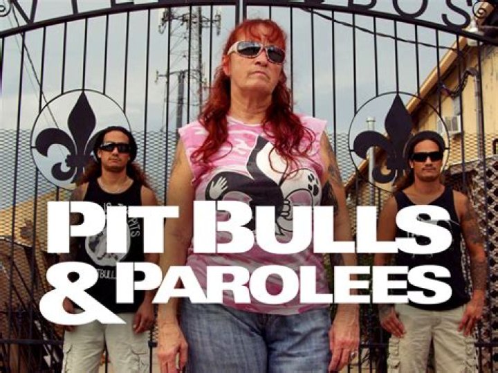Pitbulls & Parolees Cast: An In-Depth Look at the Team Behind the Show
