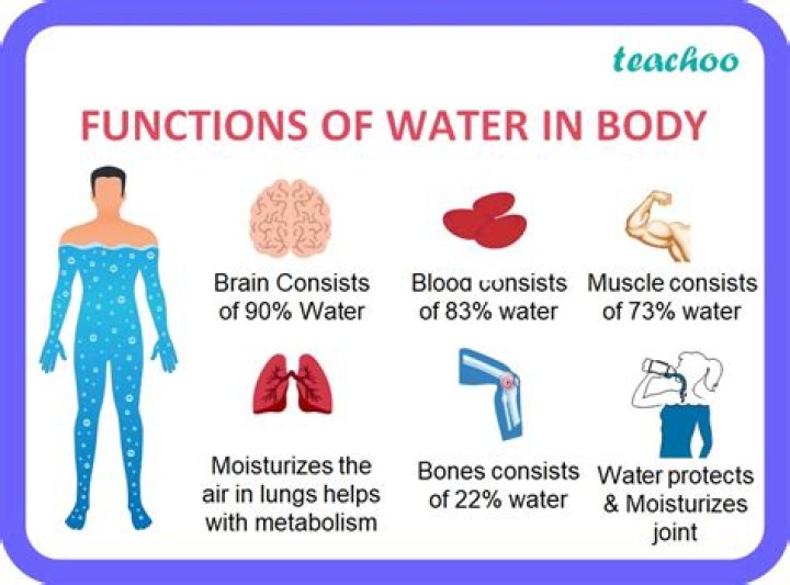 Quiero Agua: Understanding the Essential Role of Water in Our Lives