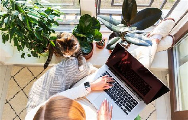 Raspberry Pi Batch Job Over Internet: Remote Work From Home Revolution