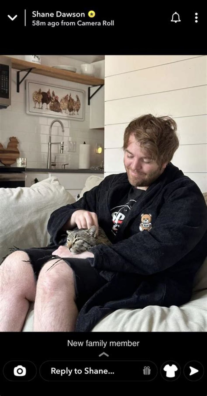 Shane Dawson Cat Controversy: What Happened and Latest Updates