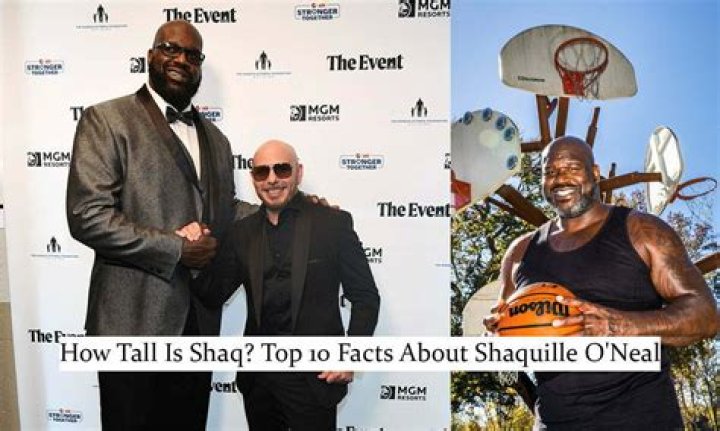 Shaquille O'Neal Size Comparison: Understanding the Dimensions of a Basketball Legend