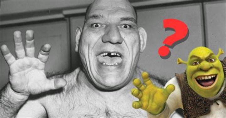 Shrek Catcheur: The Unforgettable Journey of an Iconic Character