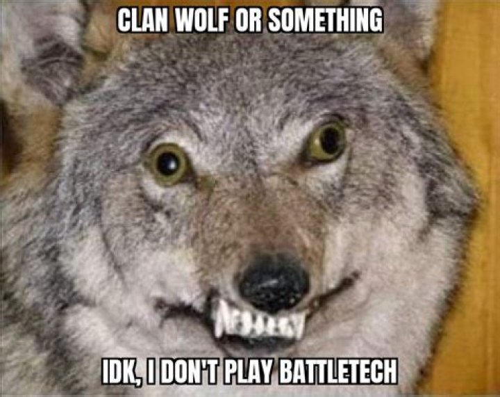 Sigma Wolf Memes: The New Trend in Internet Humor