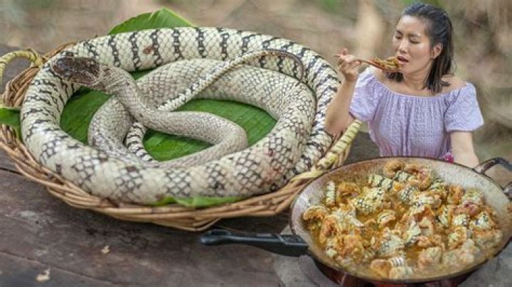 Snake as Food: An Intriguing Culinary Journey