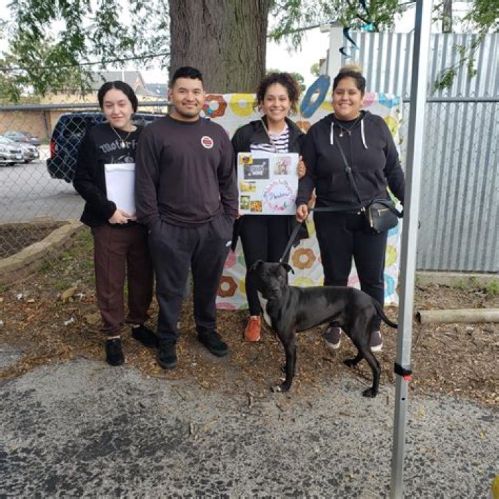 South Suburban Humane Society: A Comprehensive Guide to Animal Welfare