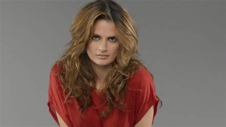 Stana Katic's Baby: A New Chapter in the Actress's Life