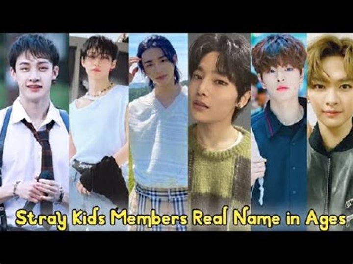 Stray Kids Members' Ages: 2023 Update