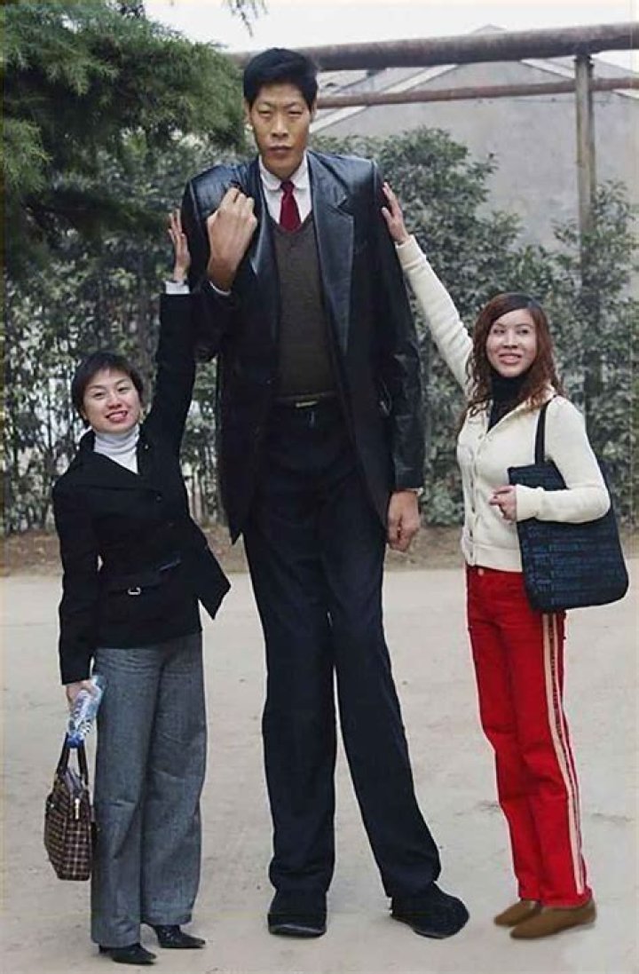 Suleiman Ali Nashnush Height: The Untold Story Behind the Man Who Stands Tall