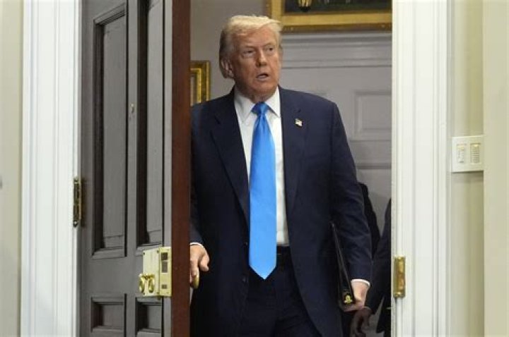 Teddy Bear Swims! Hilarious Trump Reaction?