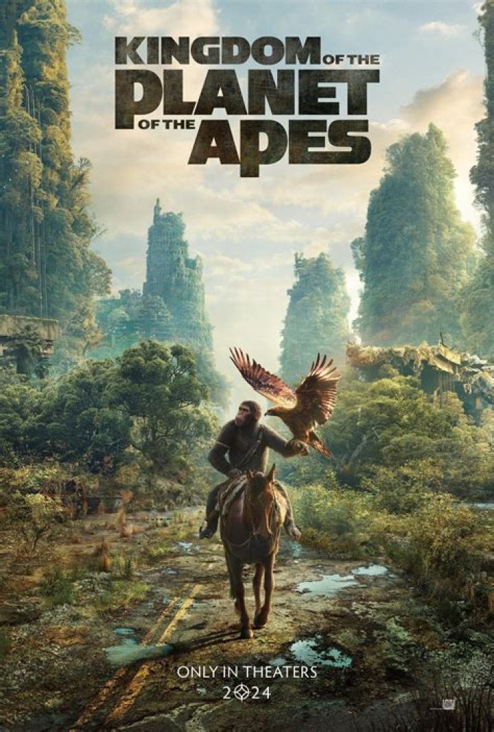 The Definitive Guide to Watching the 