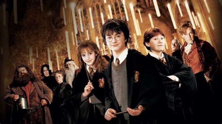 The Enchanting Ensemble: Exploring the Harry Potter The Chamber of Secrets Cast