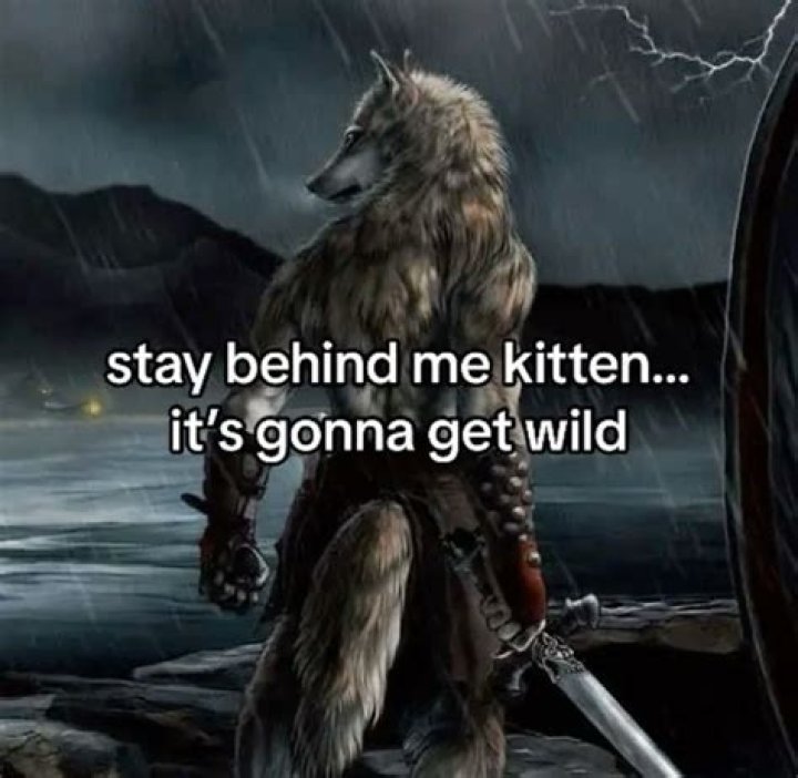 The Enigmatic Allure of the Lone Wolf Meme: Exploring Its Origins, Appeal, and Cultural Impact