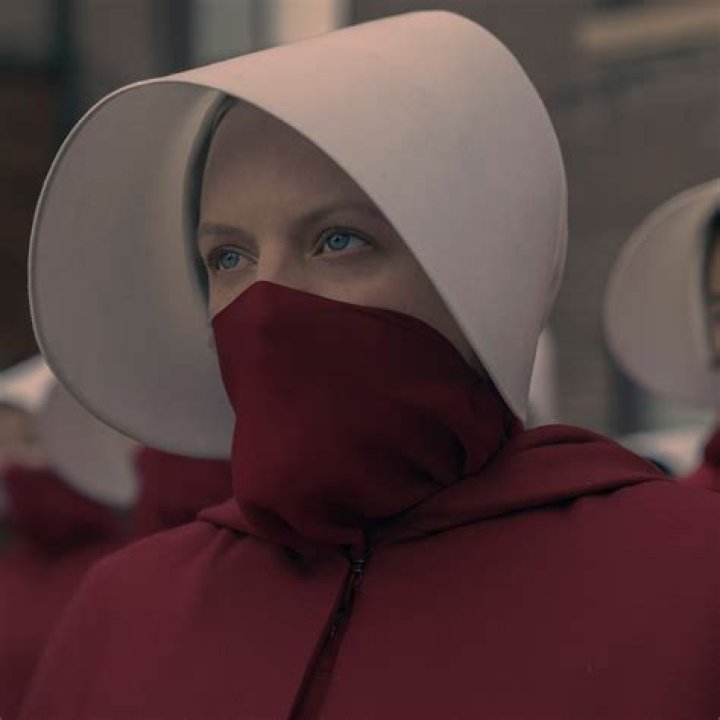 The Enigmatic Character of Sylvia in The Handmaid's Tale
