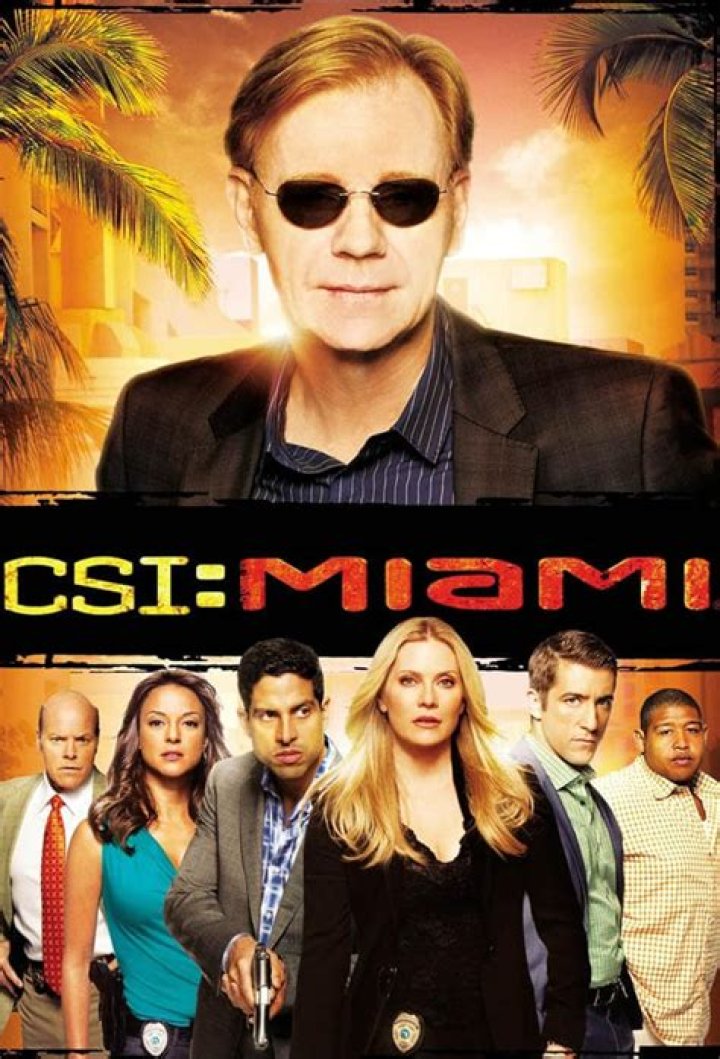 The Essential Guide to Horatio Caine from 