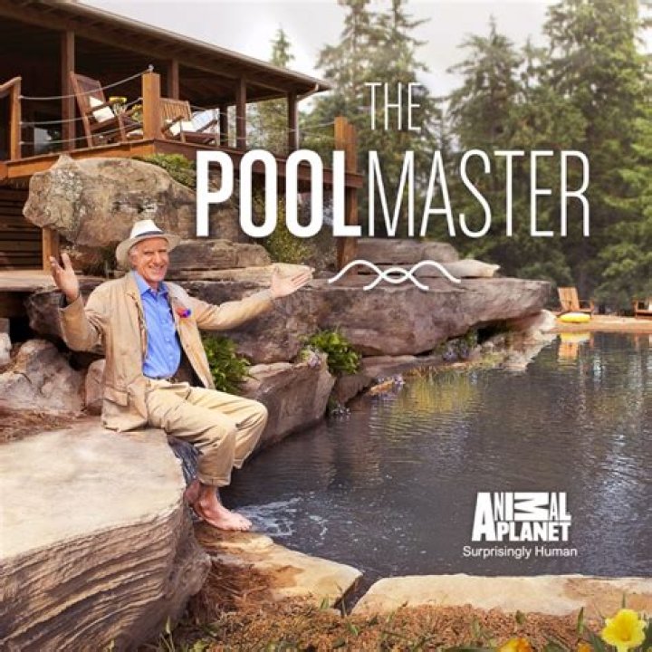 The Pool Master TV Show: A Dive into the Ultimate Pool Competition