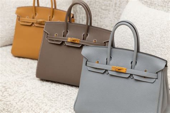 The Ultimate Guide to Burgundy Birkin Bags: Everything You Need to Know