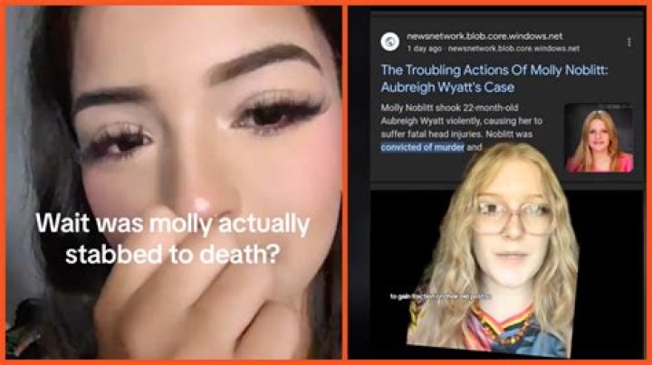 The Ultimate Guide to Molly Noblitt: Exploring Her Career and Impact
