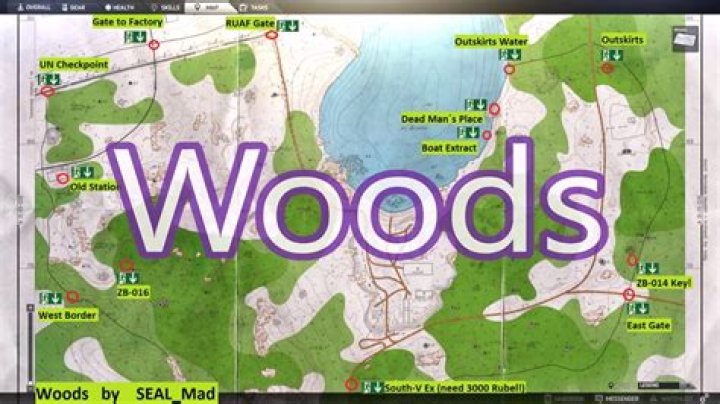 The Ultimate Guide to Tarkov Woods Map: Navigating Your Way to Success