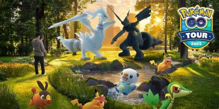 The Ultimate Pokmon GO November 2024 Infographic