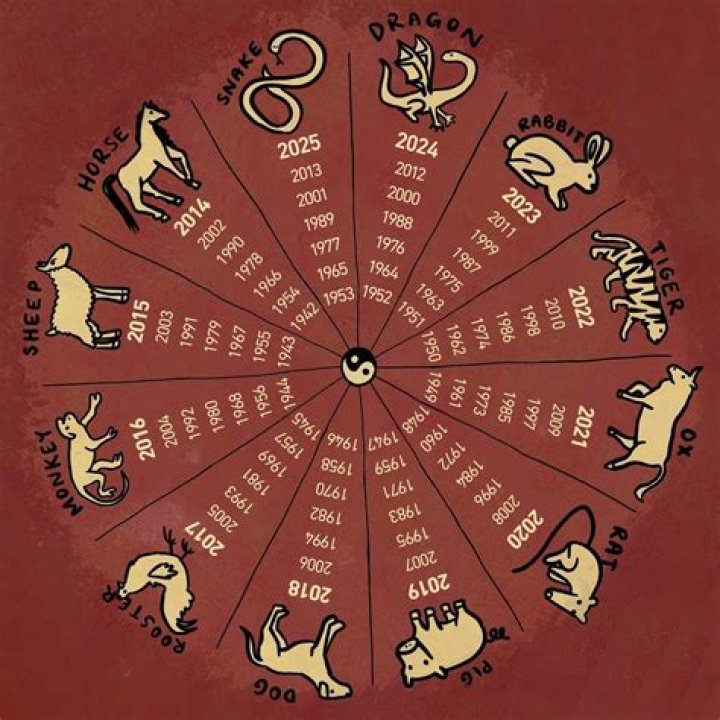 The Year of 2024 Chinese Zodiac: What Does It Hold for You?