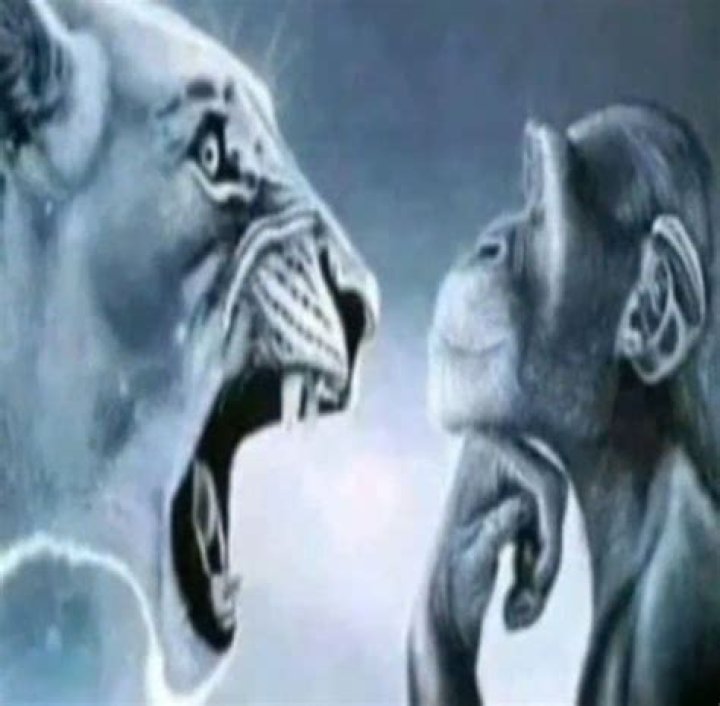 Tiger Screaming Monkey: The Unique Phenomenon Explained